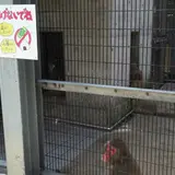 真教寺公園