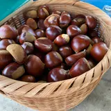 ショコロンファーム市ノ澤栗園当日予約可焼き栗土日祝のみOPEN（発送不可）