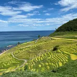 白米千枚田展望台