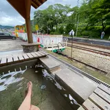 湯野上温泉駅舎