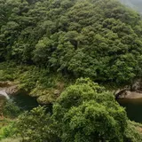山城町大野４９６