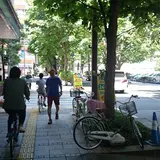 中央通り（マロニエの並木路）