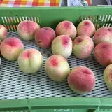 富玉園