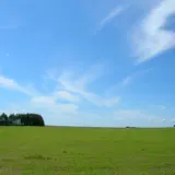 中標津町緑ヶ丘森林公園 キャンプ場