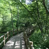 上高地自然研究路
