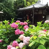 長弓寺 薬師院