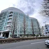 プラチナ通り銀杏並木