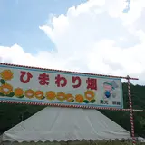 南光スポーツ公園（若あゆランド）