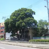 松虫塚