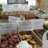 香川県仲多度郡まんのう町佐文801-1