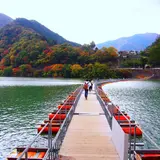 麦山浮橋