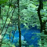青池