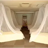 コロネ（corone）