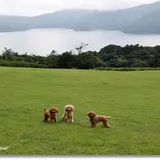 富士芦ノ湖パノラマパーク