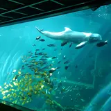 箱根園水族館