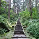羽黒山の杉並木