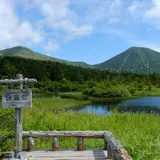 睡蓮沼