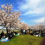 多摩川 北緑地公園