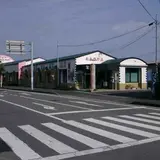 屋久杉の武田