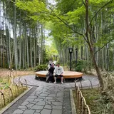 竹林の小径