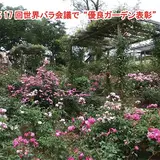 佐倉草ぶえの丘