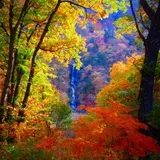 村杉温泉 環翠楼