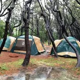 茅ヶ崎市柳島キャンプ場