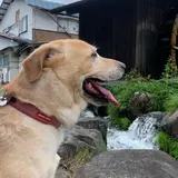 千国街道（塩の道）塩島新田宿