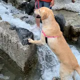 白馬フォーティーセブン