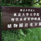 日光植物園