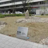 刻印石の庭(残念石)