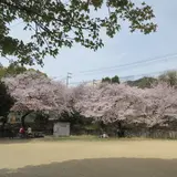 王子公園
