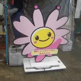 南区