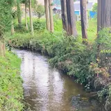 河童淵（姥子淵）