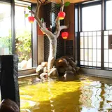 天然温泉　淡雪の湯　ドーミーイン青森