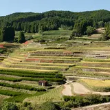 星野温泉
