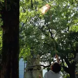筑後市諏訪神社