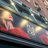 𝗧𝗲𝗮𝘁𝗿𝗼 𝗙𝗹𝗮𝗺𝗲𝗻𝗰𝗼 𝗠𝗮𝗱𝗿𝗶𝗱 | Espectáculo Flamenco | Espectáculos en Madrid
