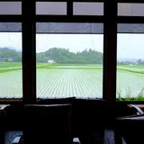 ワイルドベリー