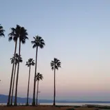 上人ヶ浜公園