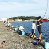 自衛隊堤防