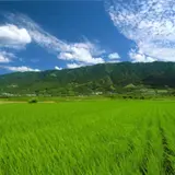 耳納連山