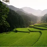竹地区の棚田