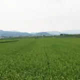 トロッコ亀岡駅観光案内所