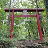 吉田胎内樹型