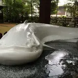 豊玉姫神社