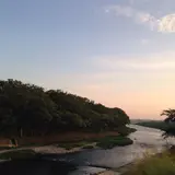 矢部川