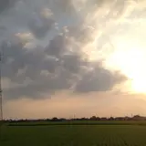 鶴田