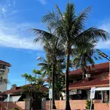 Chamorro Village