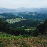 西東京パラグライダースクール